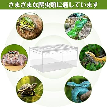 Amazon | Whtkoph 爬虫類飼育箱 レプタイルボックス換気 通気性